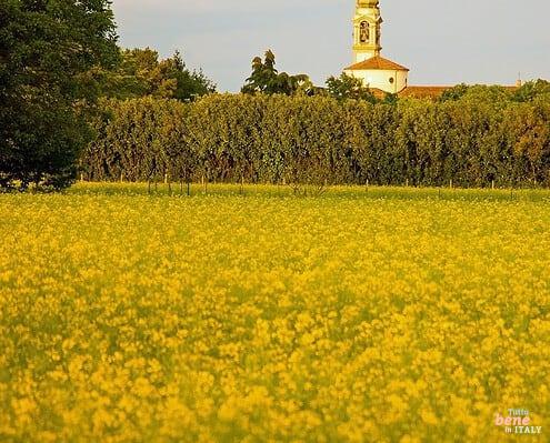 Agriculture in the Padana in Lombardy • m24o Agriculture in the Padana in Lombardy