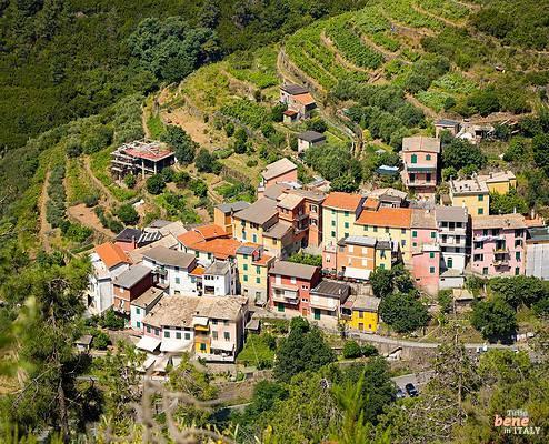 Das kleine Dorf Groppo in den Cinque Terre • m24o Das kleine Dorf Groppo in den Cinque Terre