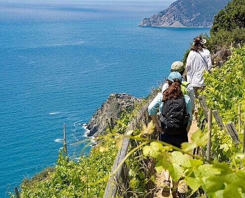 Cinque Terre Hiking Path from Volastra to Corniglia