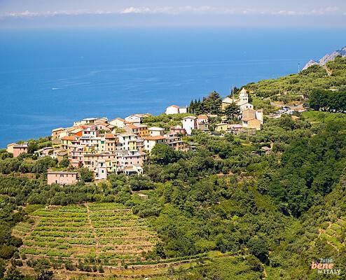 Cinque Terre Wanderweg oberhalb von Volastra • m24o Cinque Terre Wanderweg oberhalb von Volastra