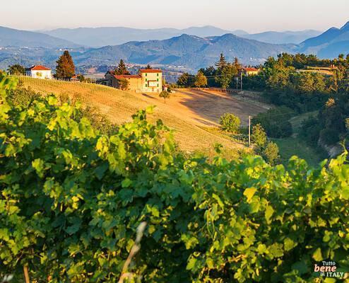 Discover the hidden gems in Piedmont The Piedmont region in northwestern Italy is known for its top wines and fine cheeses and truffles, wonderful hiking and skiing areas.