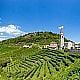 Valdobbiadene in the Prosecco Hills in Italy