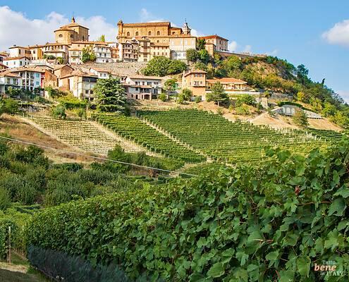 Piemontesischer Wein • m24o Das Dorf von La Morra in Piemont