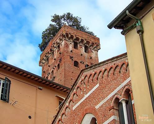 Torre Guinigi in Lucca