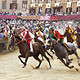 Palio di Siena, das härteste Pferderennen der Welt