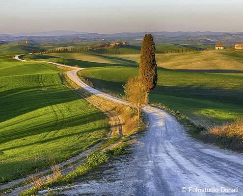Die hügelige Landschaft der Toskana • Fotostudio Donati Die hügelige Landschaft der Toskana