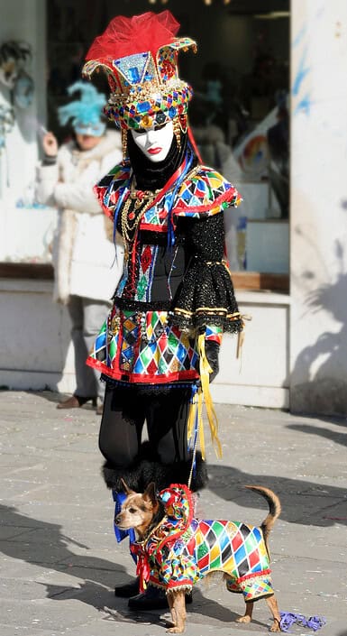 Carnival Fun with a Furry Friend: Partner Look in Venice A masked person in a colorful Harlequin costume walking a small dog in a matching partner outfit during the Venice Carnival.