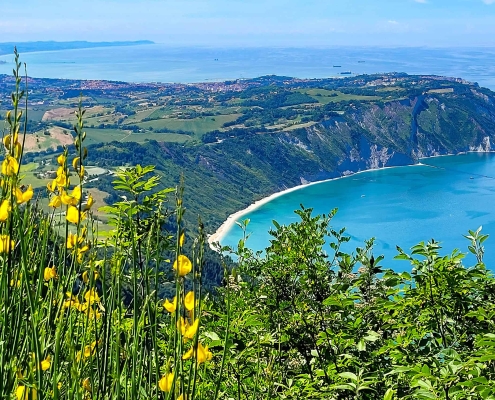 Panorama-Blick auf den Monte Conero • m24o Weitwinkelaufnahme des Monte Conero in den Marken, der steil in das blaue Wasser der Adria abfällt.