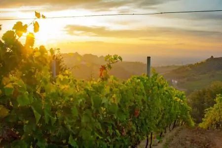 Die italienische Region Piemont ist für Liebhaber von Wein und Gourmet